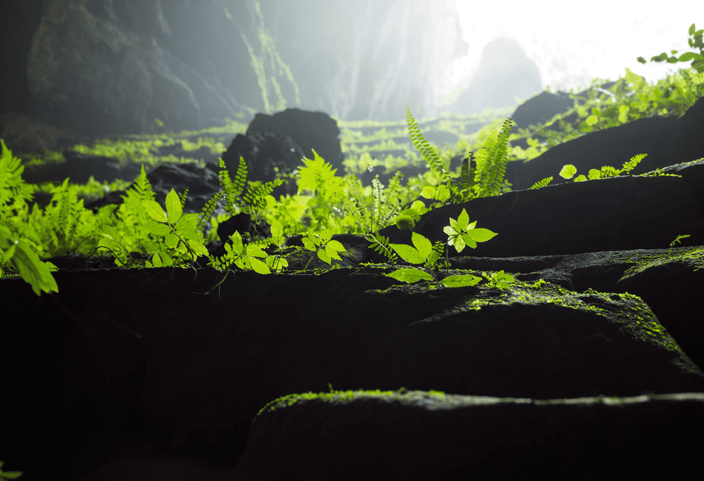 Participants are equipped with safety gear, including helmets, harnesses, and headlamps (Source: Canva)